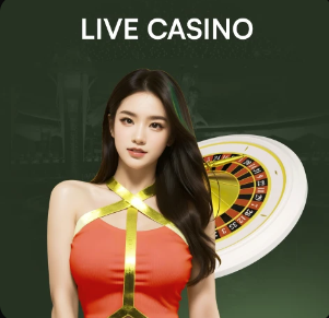 2026年3月23日德甲第27轮圣保利vs弗赖堡直播【24直播网】